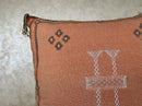 Terracotta Moroccan Cactus Silk Pillow Cover, Handmade Berber Kilim Cushion, Boho Woven Textured Tassel D - product image 2