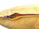 Yellow Pillows silk All sizes ,Pillow Cactus Silk, Yellow Lumbar Cushion Handmade Silk Decorative Pillow - product image 7